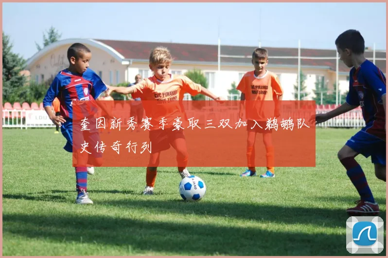 奎因新秀赛季豪取三双加入鹈鹕队史传奇行列